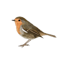 Nos solutions logicielles - Suivi des élections